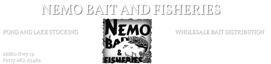 NEMO BAIT &amp; FISHERIES&nbsp;